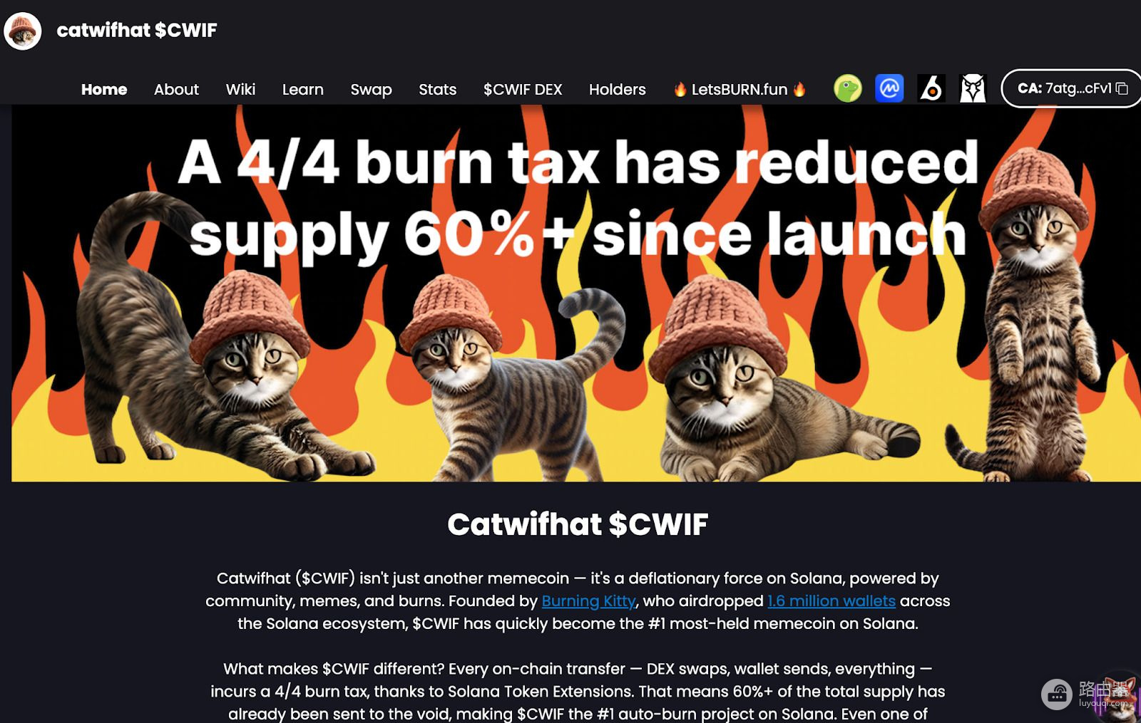Catwifhat(CWIF)币的核心看点? 迷因加通缩Solana上那只猫