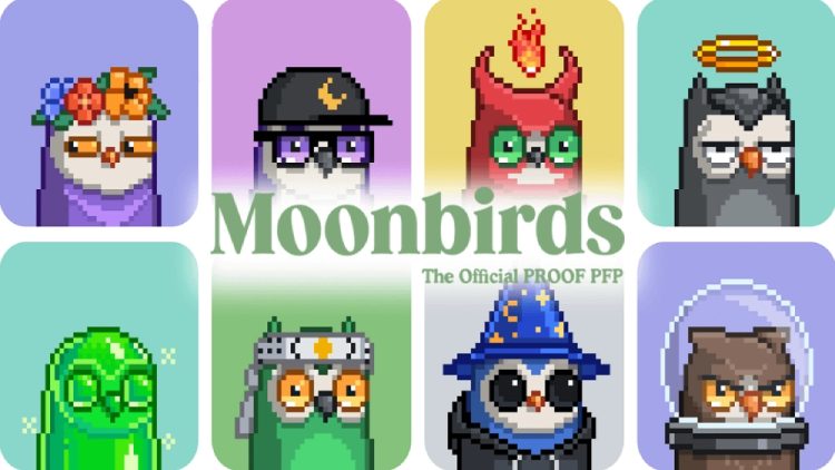 Moonbirds(BIRB)币是什么?Moonbirds猫头鹰NFT和BIRB代币