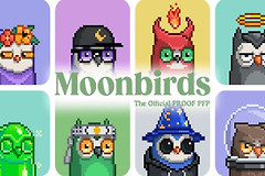 Moonbirds（BIRB）币是什么？Moonbirds猫头鹰NFT和BIRB代币