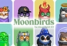 Moonbirds(BIRB)币是什么?Moonbirds猫头鹰NFT和BIRB代币