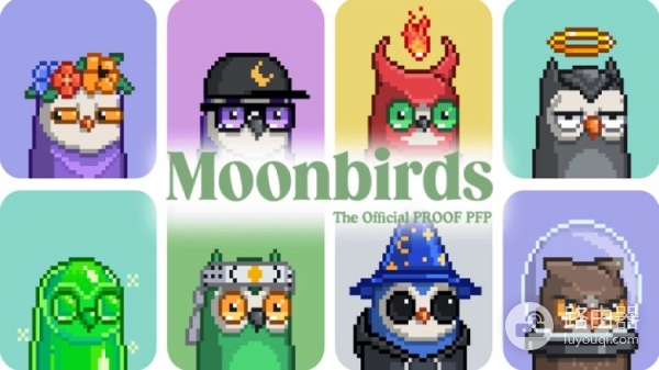 Moonbirds(BIRB)币是什么?Moonbirds猫头鹰NFT和BIRB代币