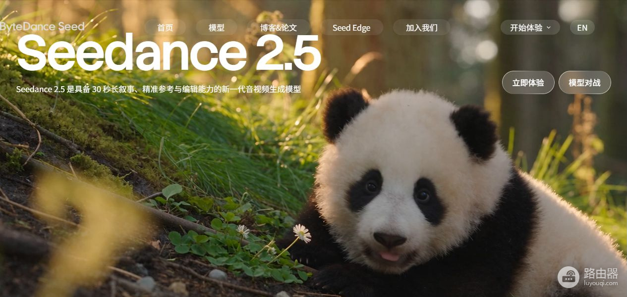 seedance官网安装入口 seedance中文网页入口