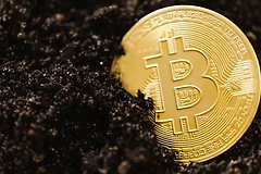 虚拟币哈希值如何查询? 比特币、USDT哈希值查询方法