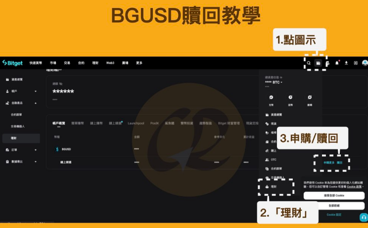BGUSD是什么? 收益如何? 会有风险吗?