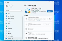 win11完美永久彻底关闭自动更新可随时开启更新的方法