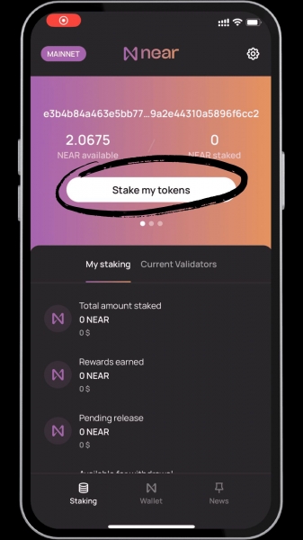 NEAR Protocol (NEAR) 币怎么质押？手机钱包也能质押NEAR