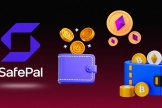 SafePal浏览器插件支持导入哪些助记词？SafePal浏览器插件怎么安装？