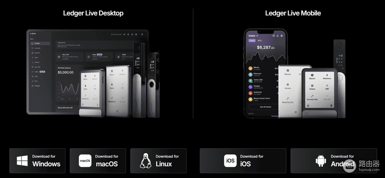 Ledger Nano S Plus适合哪些加密用户,如何进行资产管理?