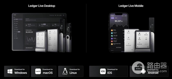Ledger Nano S Plus适合哪些加密用户，如何进行资产管理？