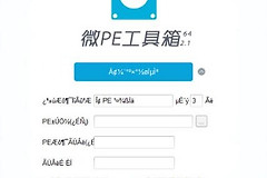 Windows 11含工具出现乱码怎么办