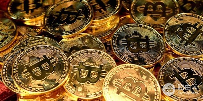 如何选加密钱包?币圈新手避坑指南