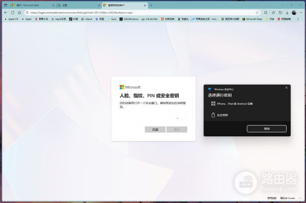 微软账户登录无法输入密码PIN怎么办?强制使用通行密钥解决方法