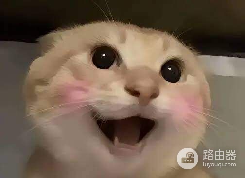 七大中文Meme币是哪些?谁最有机会登陆币安?