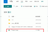 sharepoint分享mpp链接显示空白怎么办？project文件预览限制解决方法