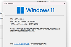 Win11 23H2更新失败报错0xC1900101怎么办？退出预览体验计划修复