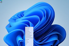 如何在Windows 11中关闭快速搜索