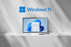 大富翁4 win11闪退解决方法