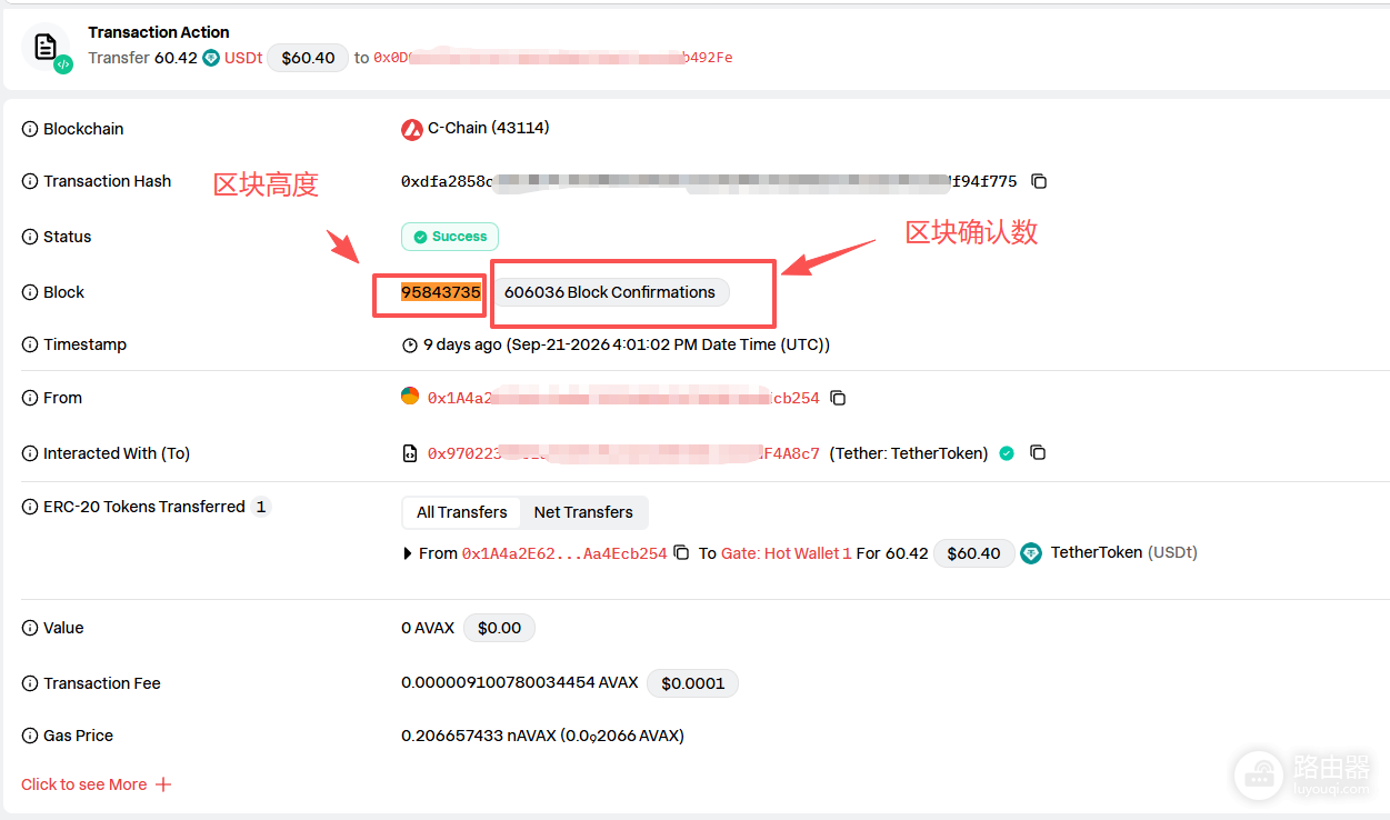 怎么用TxID查USDT到账了没?确认数不够不算到账