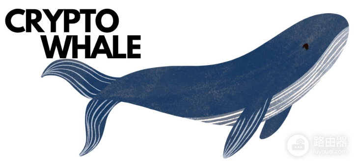 WHALE是什么币?WHALE代币的前世今生与价值逻辑