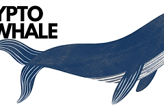 WHALE是什么币？WHALE代币的前世今生与价值逻辑
