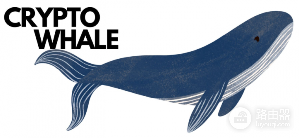 WHALE是什么币？WHALE代币的前世今生与价值逻辑