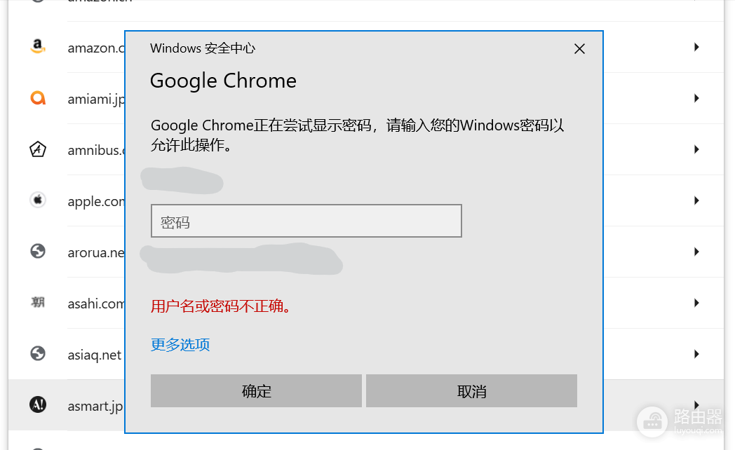 windows安全中心不识别密码怎么办？查看浏览器密码验证失败解决方法