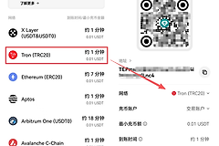 USDT转账选哪条链？TRON费用速度优势说明