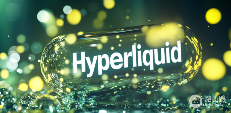 Hyperliquid官网入口是什么？HYPE正确官方访问地址