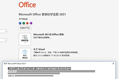 word添加自定义水印提示HTTP Error 400. The size of the request headers is too long错误怎么办？请求头过长修复方法