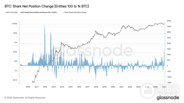 当比特币市场回落时，谁在悄悄加仓？链上数据里的真实分歧