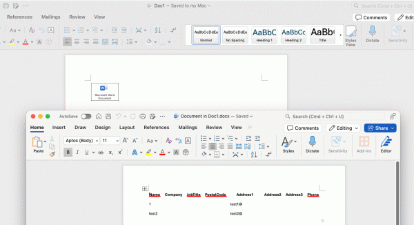 mac word插入对象不显示图标？16.90版本解决方法