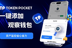 TP观察钱包怎么设置?如何只看地址不导入私钥