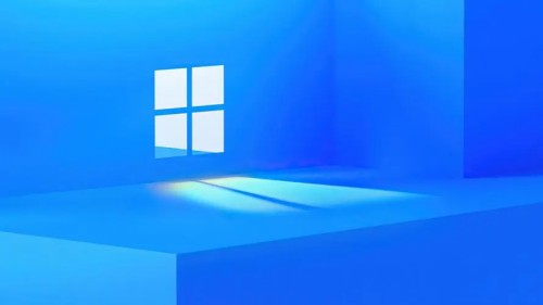 win11web保护无提供程序怎么办