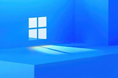 win11web保护无提供程序怎么办