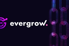 曾靠“持币躺赚”爆火的EverGrow，如今为何全面转向Solana？