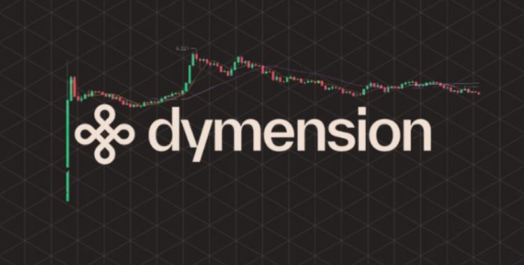 什么是DYM币?Dymension平台的核心代币