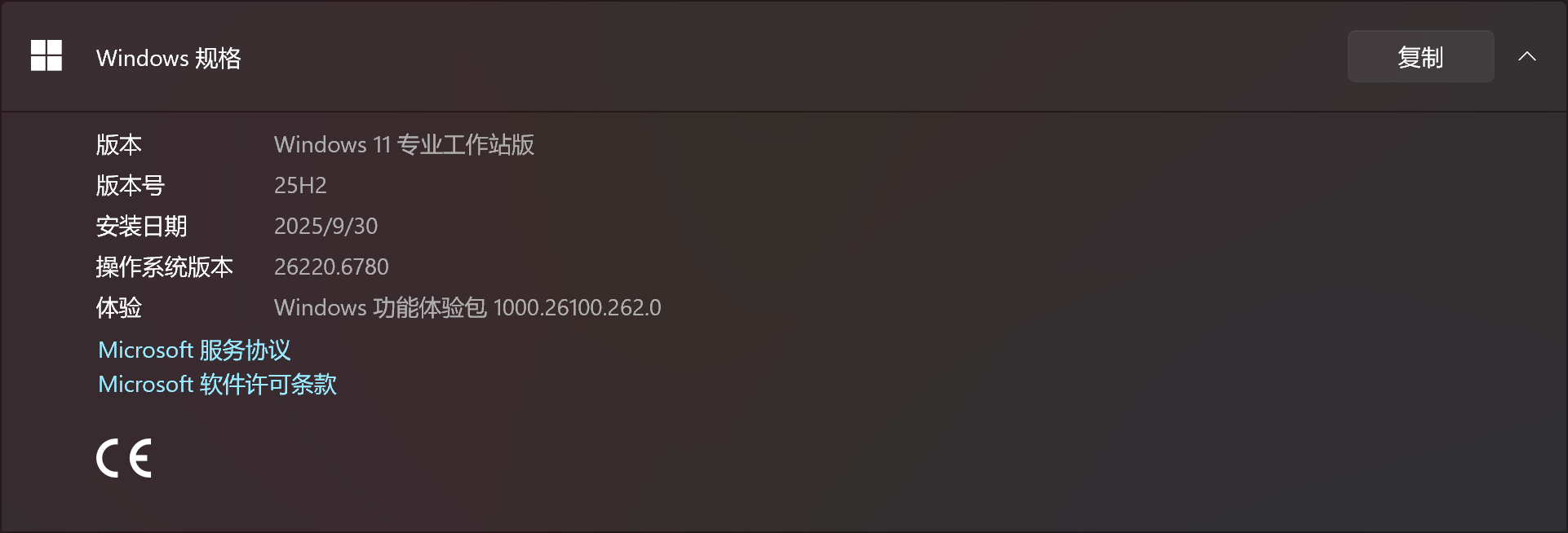 Win11 25H2重启黑屏显示左上角白块怎么办？USB启动故障修复教程