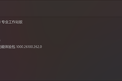 Win11 25H2重启黑屏显示左上角白块怎么办？USB启动故障修复教程