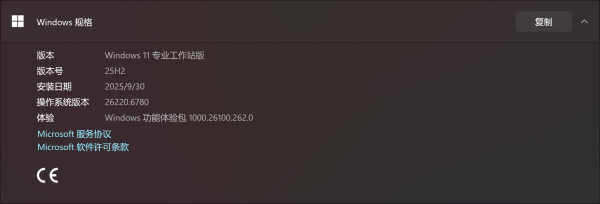 Win11 25H2重启黑屏显示左上角白块怎么办?USB启动故障修复教程