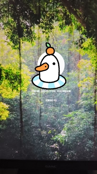 win11安全模式pin无法使用怎么办？windows登录故障修复