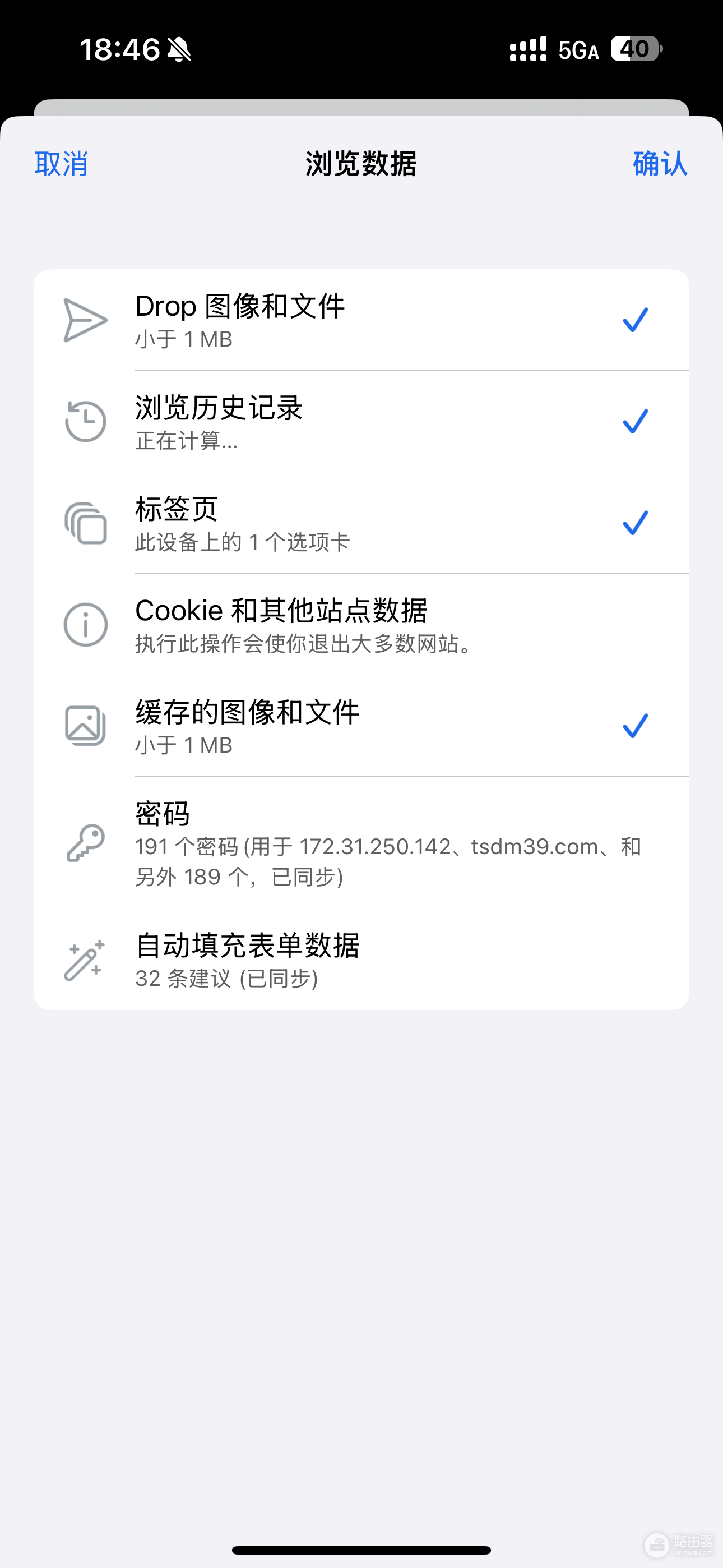 Edge浏览器占用空间过大怎么办?30GB存储异常清理教程