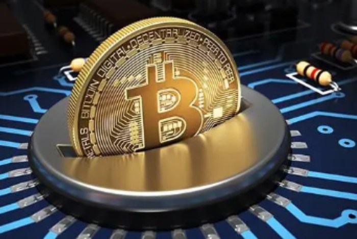 虚拟货币都有哪些种类?新手怎么选币?