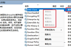 DNS Client服务启动类型为禁用而且所有按钮为灰色解决方法