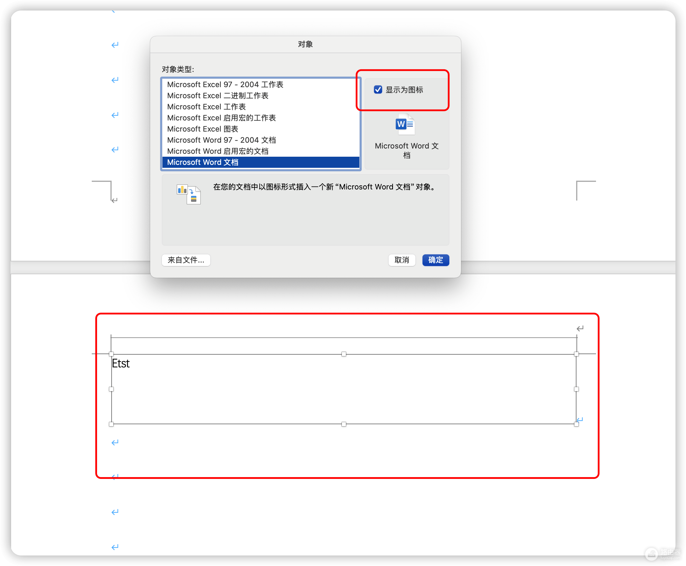 mac word插入对象不显示图标？16.90版本解决方法