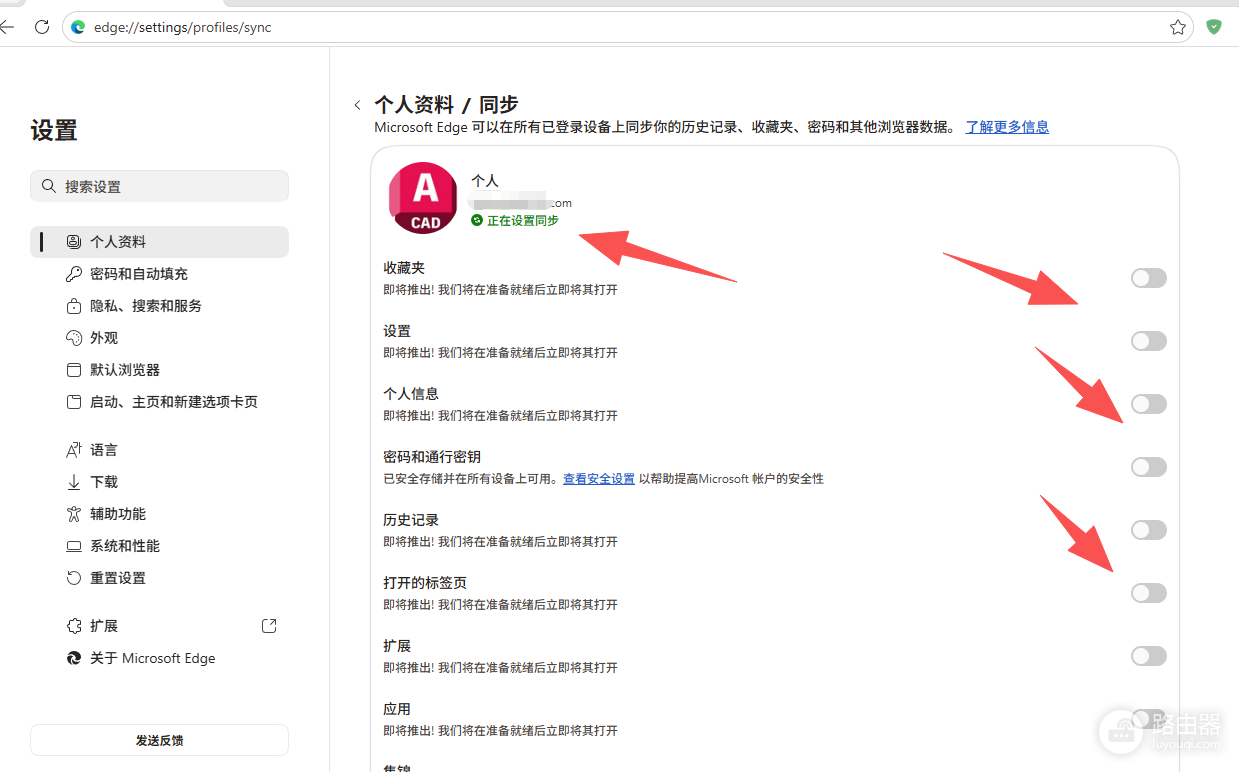 edge账号同步无法使用怎么办?win11企业预览版同步报错修复