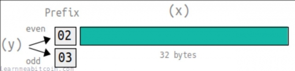 钱包地址怎么生成？UTXO模型和找零地址
