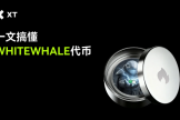 白鲸币是什么？Solana迷因币中的佼佼者WHITEWHALE