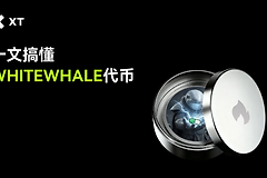 白鲸币是什么？Solana迷因币中的佼佼者WHITEWHALE