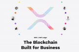 XRPL和XRP是什么关系？瑞波币（XRP）怎么购买？新手指南