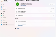 win11预览版27913出现bug怎么办？系统故障反馈与修复教程